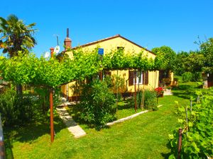 Ferienwohnung für 5 Personen (65 m&sup2;) in Fažana