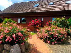 Ferienwohnung für 2 Personen (50 m&sup2;) in Fehmarn / Burg