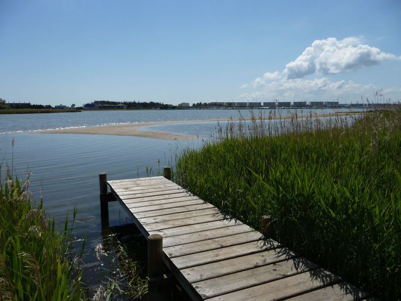 22305029-Ferienwohnung-4-Fehmarn / Burg-800x600-1