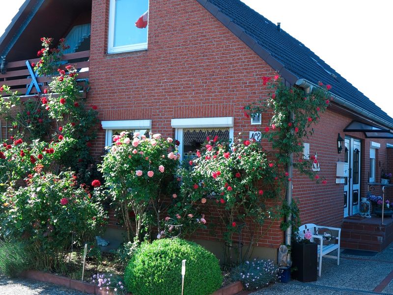 22272387-Ferienwohnung-4-Fehmarn / Burg-800x600-0