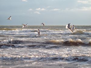 Ferienwohnung für 2 Personen (25 m&sup2;) in Fehmarn / Burgtiefe