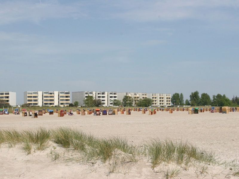 23892223-Ferienwohnung-4-Fehmarn / Burgtiefe-800x600-1