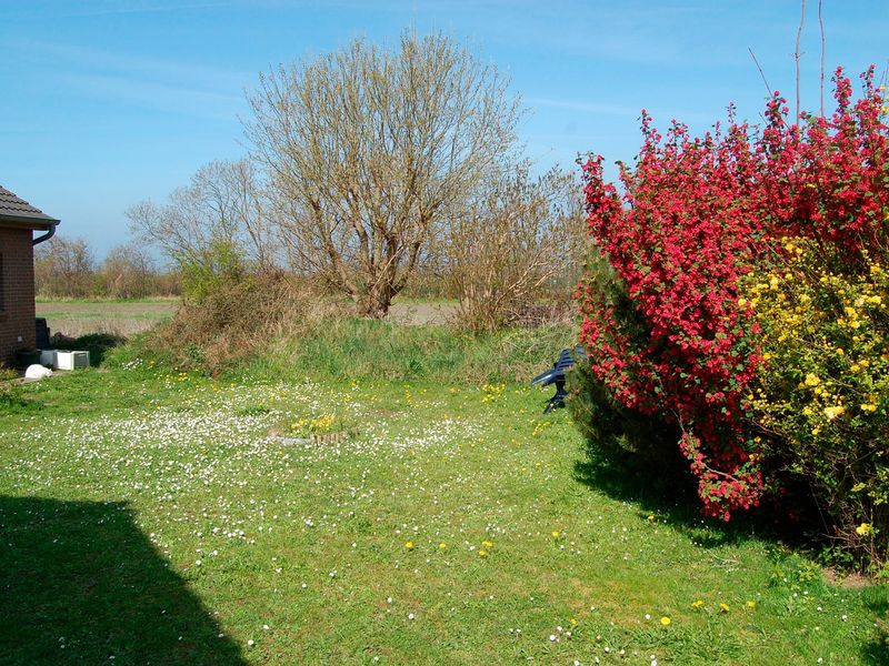 22272447-Ferienwohnung-2-Fehmarn / Petersdorf-800x600-2