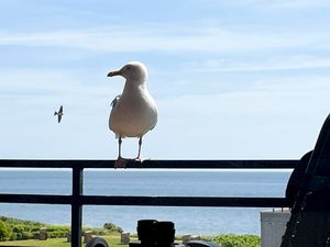 Ferienwohnung für 2 Personen (46 m&sup2;) in Fehmarn / Staberdorf