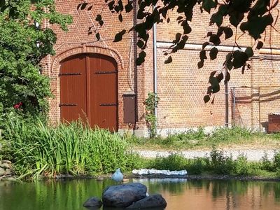 Ferienwohnung für 2 Personen (40 m²) in Fehmarn 8/10