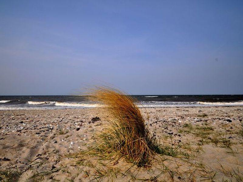 24045446-Ferienwohnung-4-Fehmarn-800x600-2