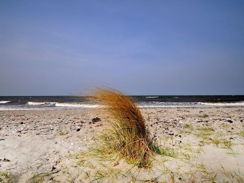 24045448-Ferienwohnung-4-Fehmarn-800x600-2