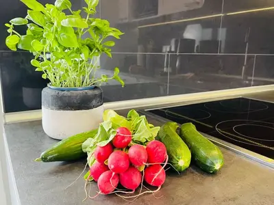 Ferienwohnung für 2 Personen (54 m²) in Fehmarn 8/10