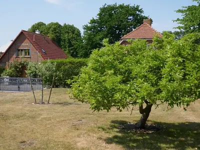 Ferienwohnung für 7 Personen (120 m²) in Fehmarn 4/10