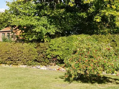 Ferienwohnung für 7 Personen (120 m²) in Fehmarn 7/10
