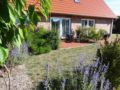 Ferienwohnung für 2 Personen (35 m²) in Fehmarn 8/10