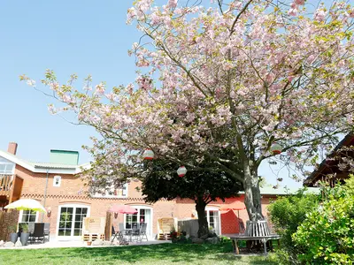Ferienwohnung für 5 Personen (72 m²) in Fehmarn 8/10