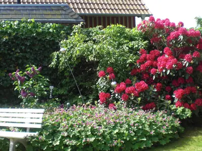 Ferienwohnung für 5 Personen (64 m²) in Fehmarn 8/10