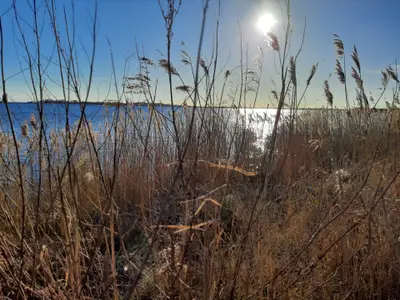 Ferienwohnung für 5 Personen (64 m²) in Fehmarn 10/10