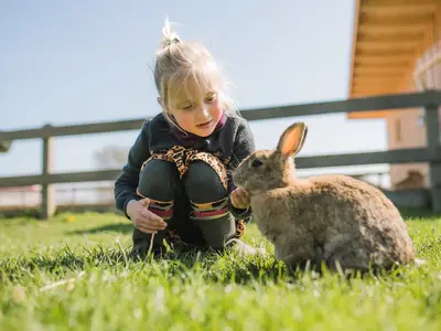 Ferienwohnung für 3 Personen (40 m²) in Fehmarn 10/10
