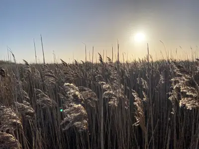 Ferienwohnung für 2 Personen (28 m²) in Fehmarn 6/10