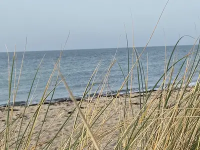 Ferienwohnung für 2 Personen (28 m²) in Fehmarn 7/10