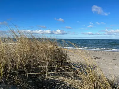 Ferienwohnung für 2 Personen (28 m²) in Fehmarn 10/10