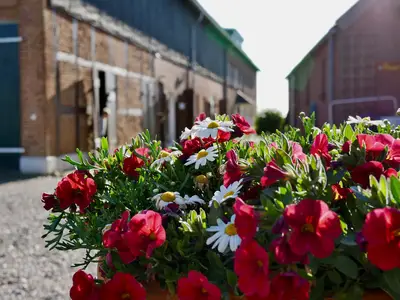 Ferienwohnung für 4 Personen (68 m²) in Fehmarn 10/10
