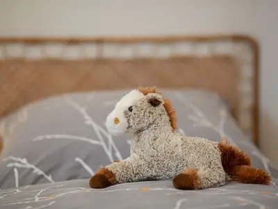 Ferienwohnung für 5 Personen (100 m²) in Fehmarn 8/10