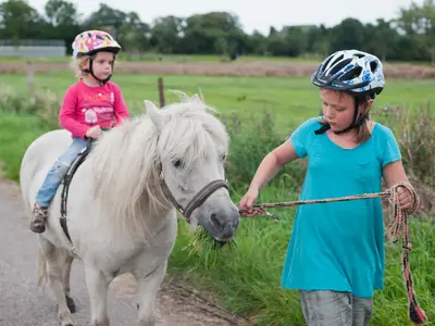 Ferienwohnung für 2 Personen (44 m²) in Fehmarn 10/10