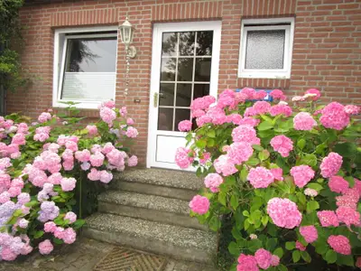 Ferienwohnung für 2 Personen (48 m²) in Fehmarn 7/8