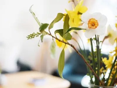 Ferienwohnung für 6 Personen (70 m²) in Fehmarn 6/10