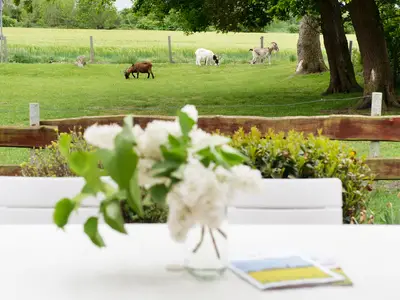 Ferienwohnung für 7 Personen (105 m²) in Fehmarn 7/10