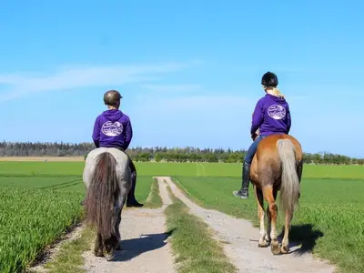 Ferienwohnung für 2 Personen (40 m²) in Fehmarn 5/10