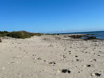 Ferienwohnung für 4 Personen (60 m²) in Fehmarn / Albertsdorf 3/10