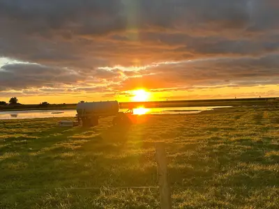 Ferienwohnung für 4 Personen (60 m²) in Fehmarn / Albertsdorf 4/10