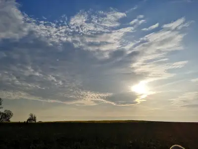 Ferienwohnung für 2 Personen (40 m²) in Fehmarn 9/10