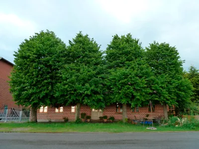 Ferienwohnung für 4 Personen (65 m²) in Fehmarn / Altenteil 2/10