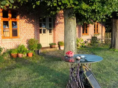 Ferienwohnung für 4 Personen (65 m²) in Fehmarn / Altenteil 3/10