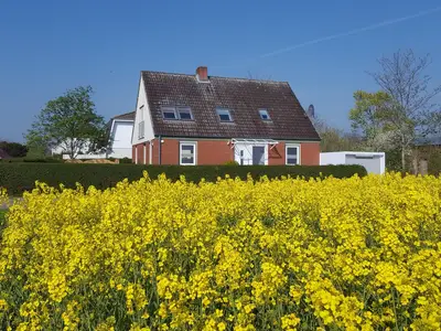 Ferienwohnung für 4 Personen (55 m²) in Fehmarn 3/10