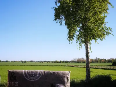 Ferienwohnung für 5 Personen (50 m²) in Fehmarn 2/10