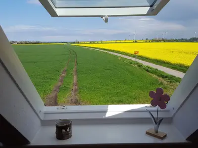 Ferienwohnung für 4 Personen (55 m²) in Fehmarn 6/10