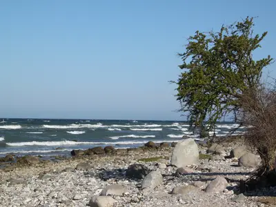 Ferienwohnung für 4 Personen (67 m²) in Fehmarn 9/10