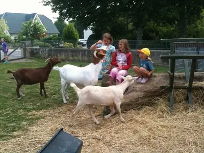 Ferienwohnung für 3 Personen (30 m²) in Fehmarn 9/10