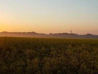 Ferienwohnung für 4 Personen (90 m²) in Fehmarn 10/10