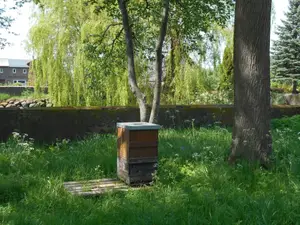 Ferienwohnung für 5 Personen (60 m²) in Fehmarn