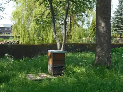 Ferienwohnung für 5 Personen (60 m²) in Fehmarn 1/10