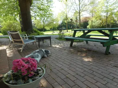 Ferienwohnung für 6 Personen (80 m²) in Fehmarn 3/10