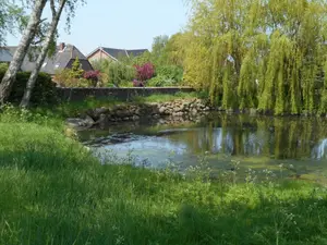 Ferienwohnung für 5 Personen (60 m²) in Fehmarn