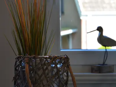 Ferienwohnung für 2 Personen (69 m²) in Fehmarn 4/10