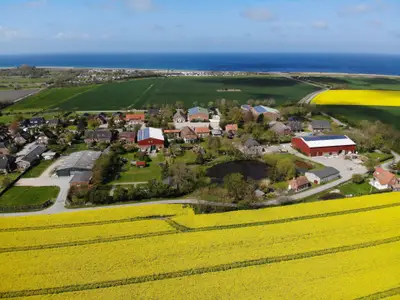 Ferienwohnung für 3 Personen (40 m²) in Fehmarn / Bojendorf 10/10