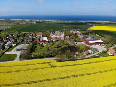 Ferienwohnung für 2 Personen (50 m²) in Fehmarn / Bojendorf 10/10