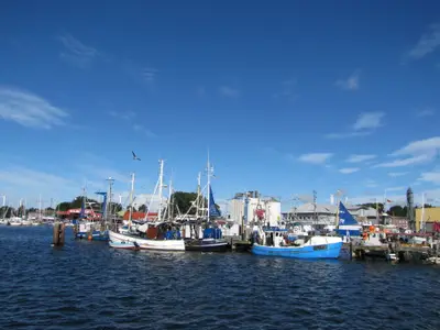 Ferienwohnung für 4 Personen (70 m²) in Fehmarn 1/10