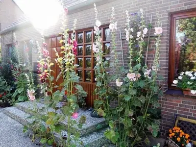 Ferienwohnung für 4 Personen (75 m²) in Fehmarn 1/10