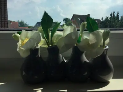 Ferienwohnung für 4 Personen (65 m²) in Fehmarn 7/10